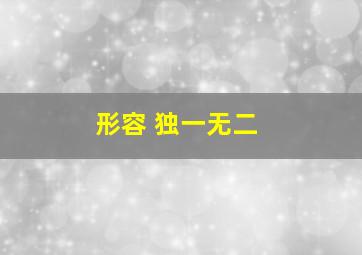 形容 独一无二